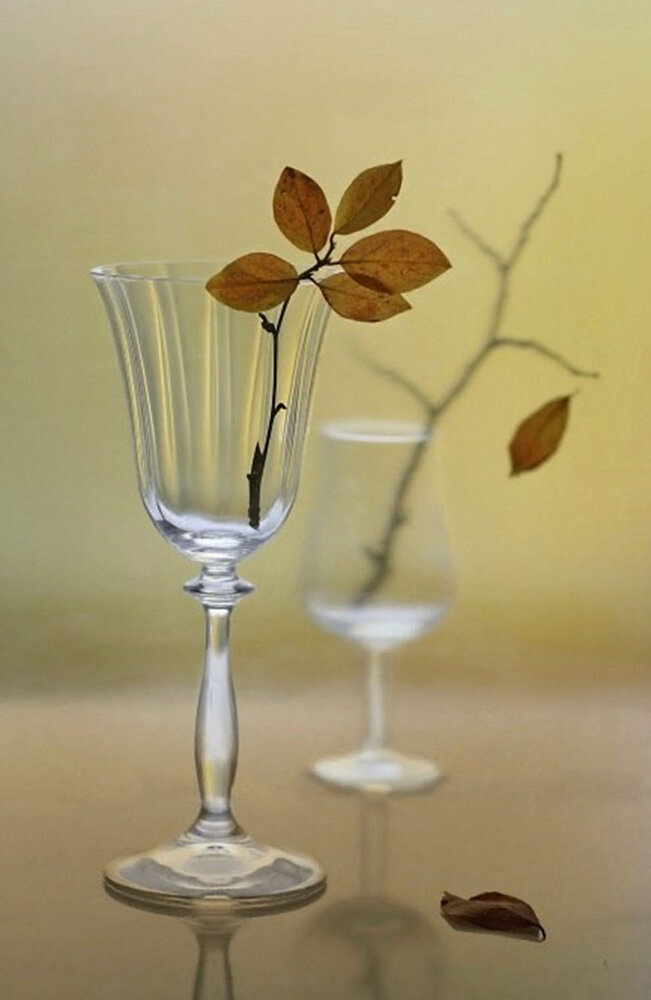 Photograph by Liliya Rodionova