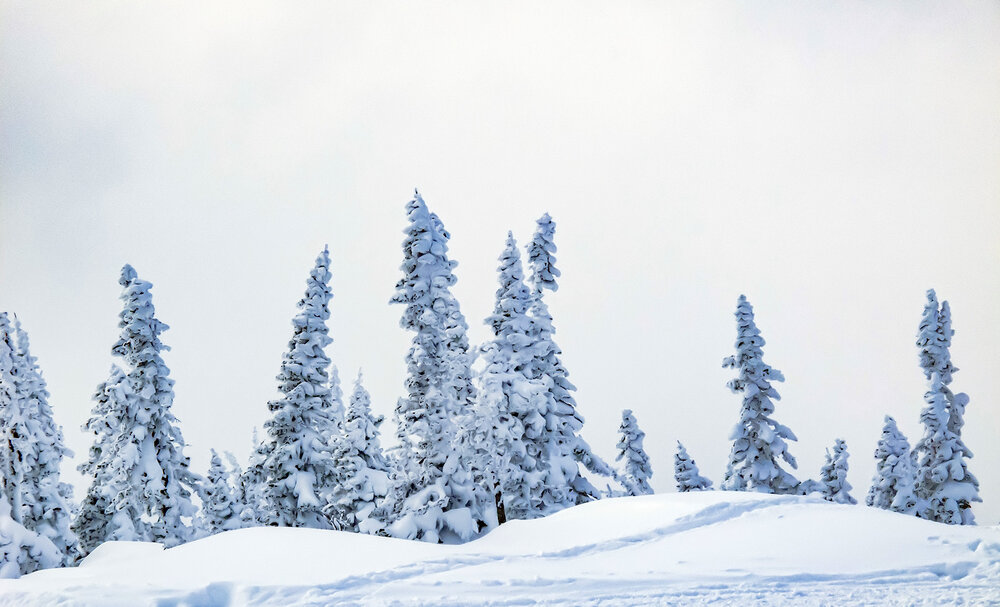Photo #13800436