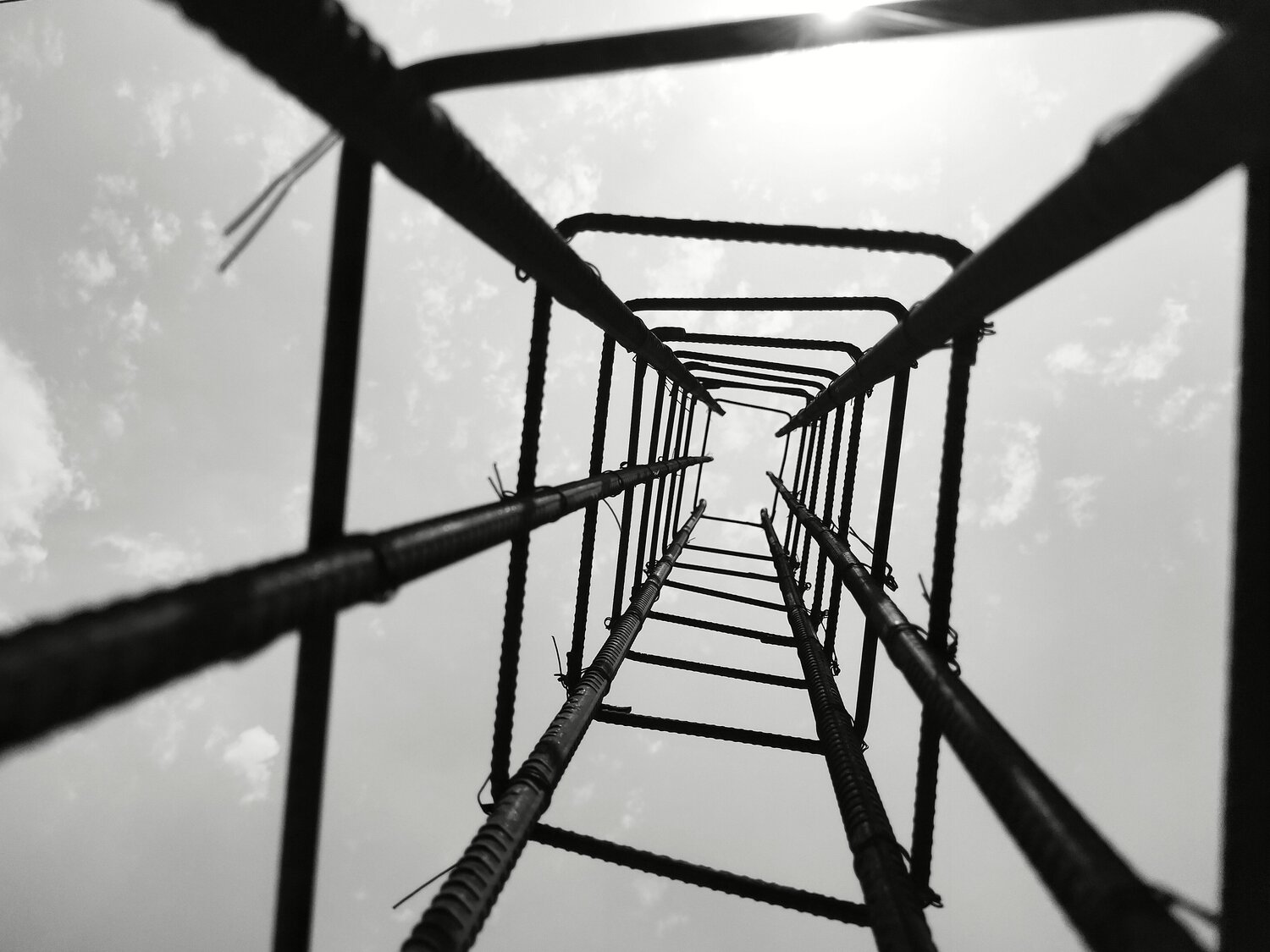 Photo #13800446