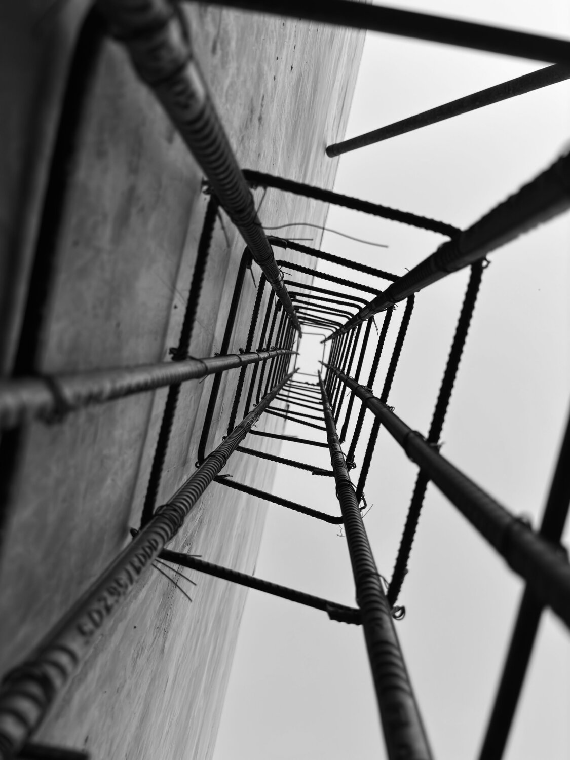 Photo #13800451