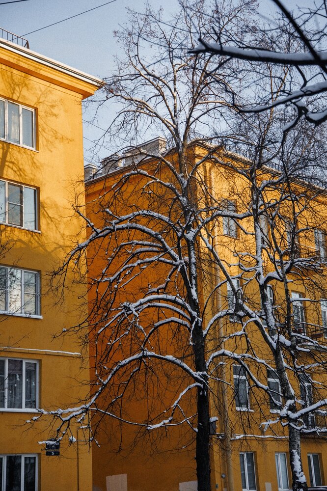 Photograph by Анастасия Лидяева