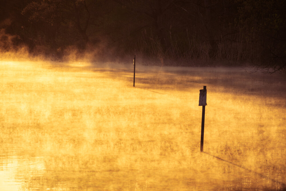 Photograph by Gunma No UMA