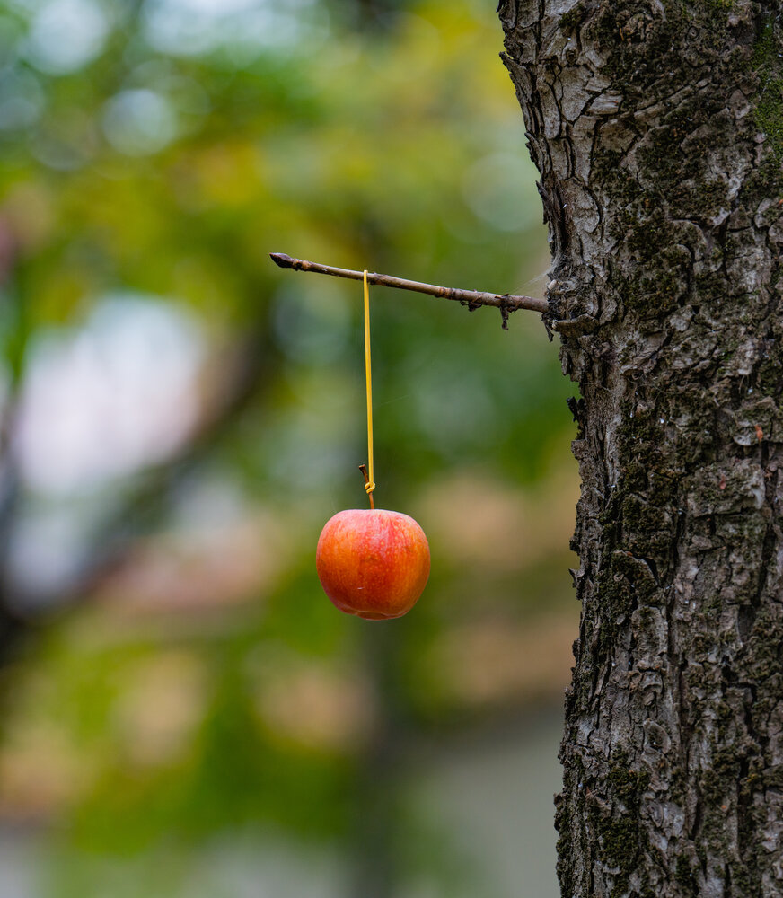 Photograph by Константин Яковлев
