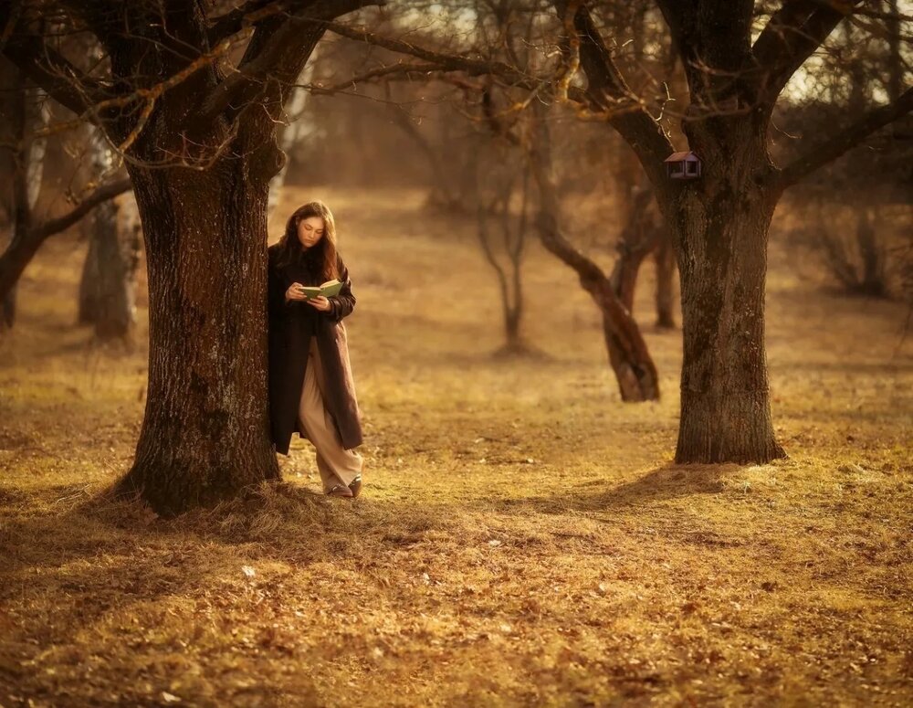 Photograph by Виктория Дмитриева