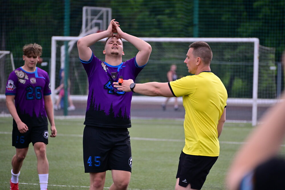 Photo #13800579