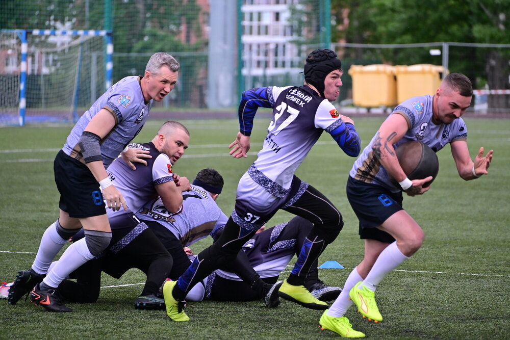 Photo #13800580