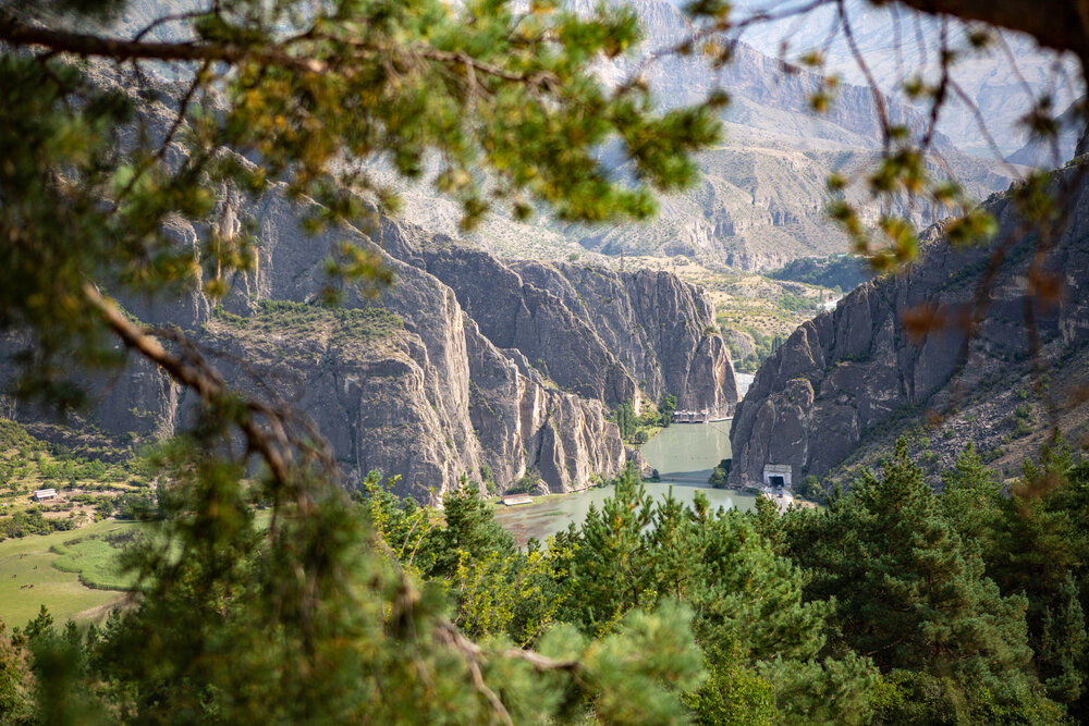 Photograph by Вера Наземкина - Соколова