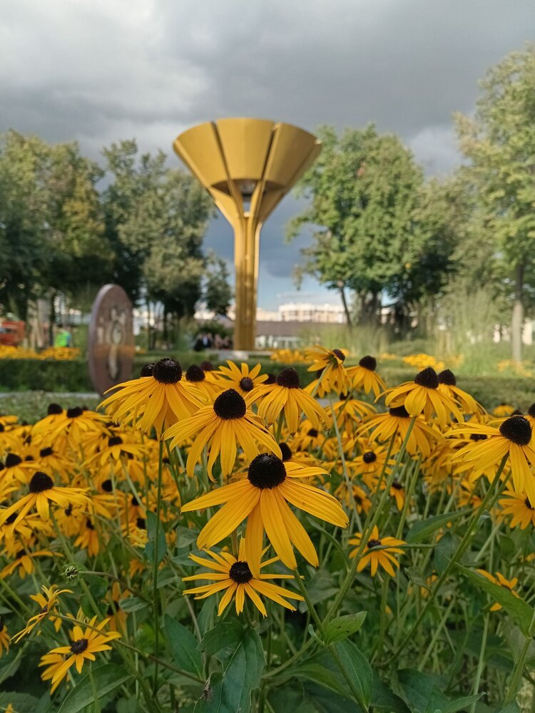 Фотография автора Наталья