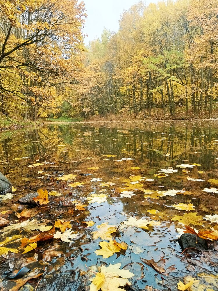Фотография автора Наталья