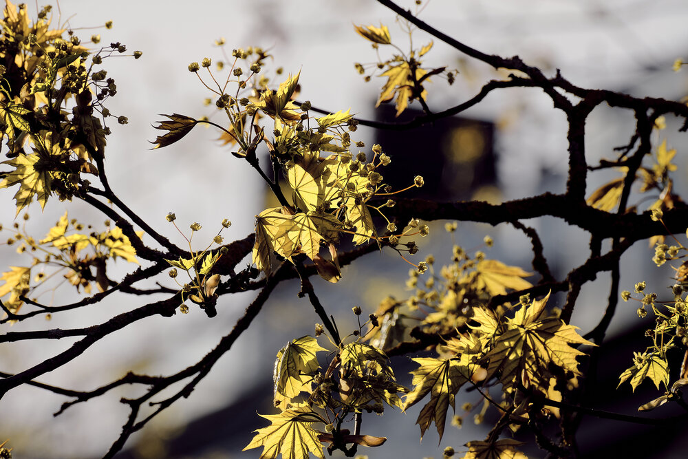 Photograph by VIZO