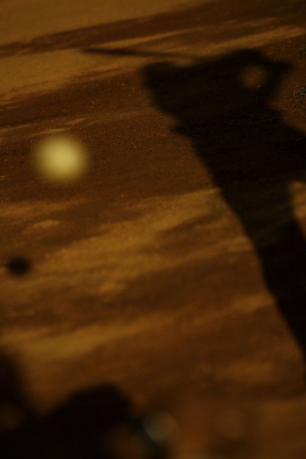 Photo #13800676