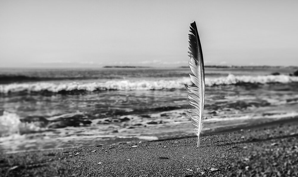 Photo #13800681