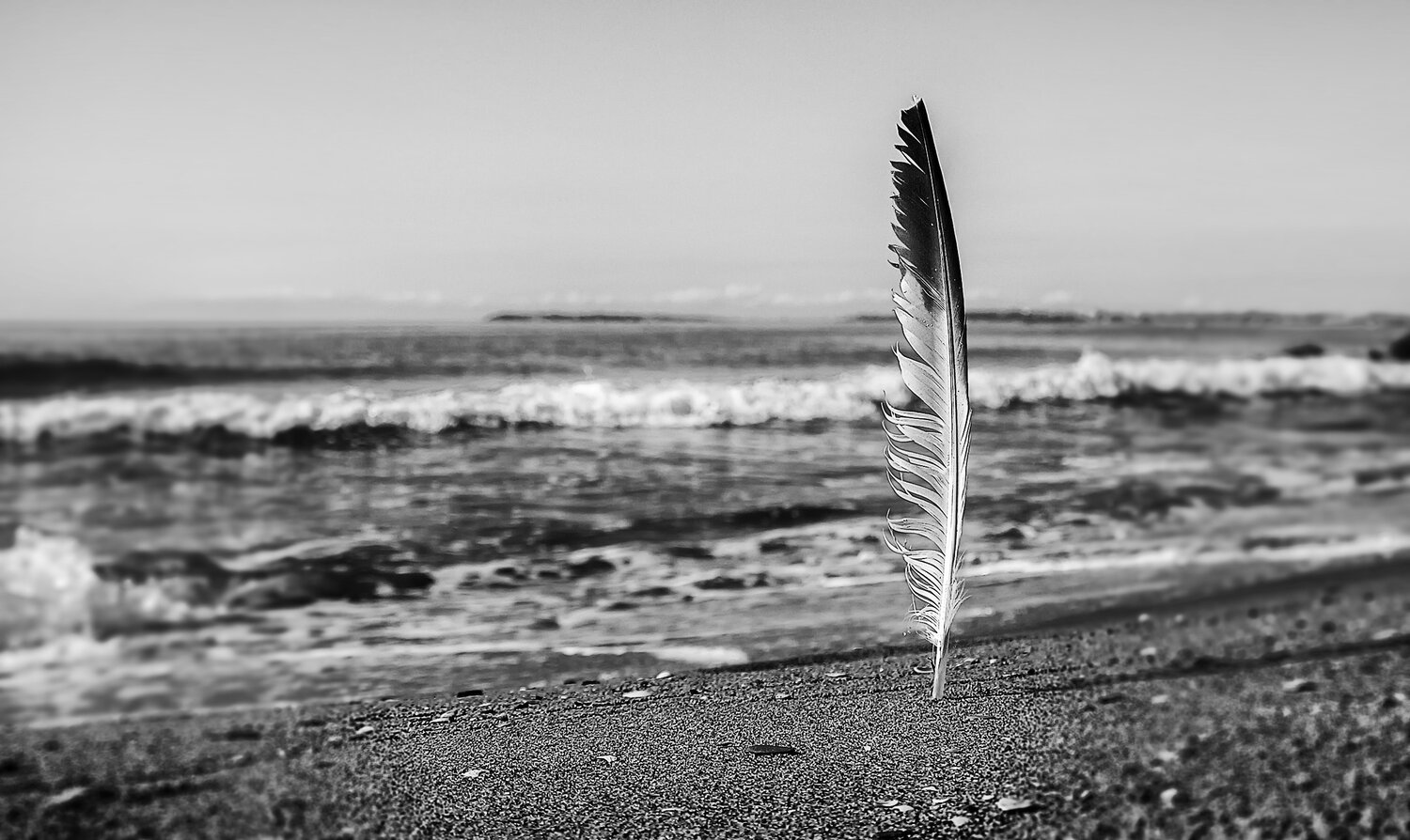 Photo #13800681