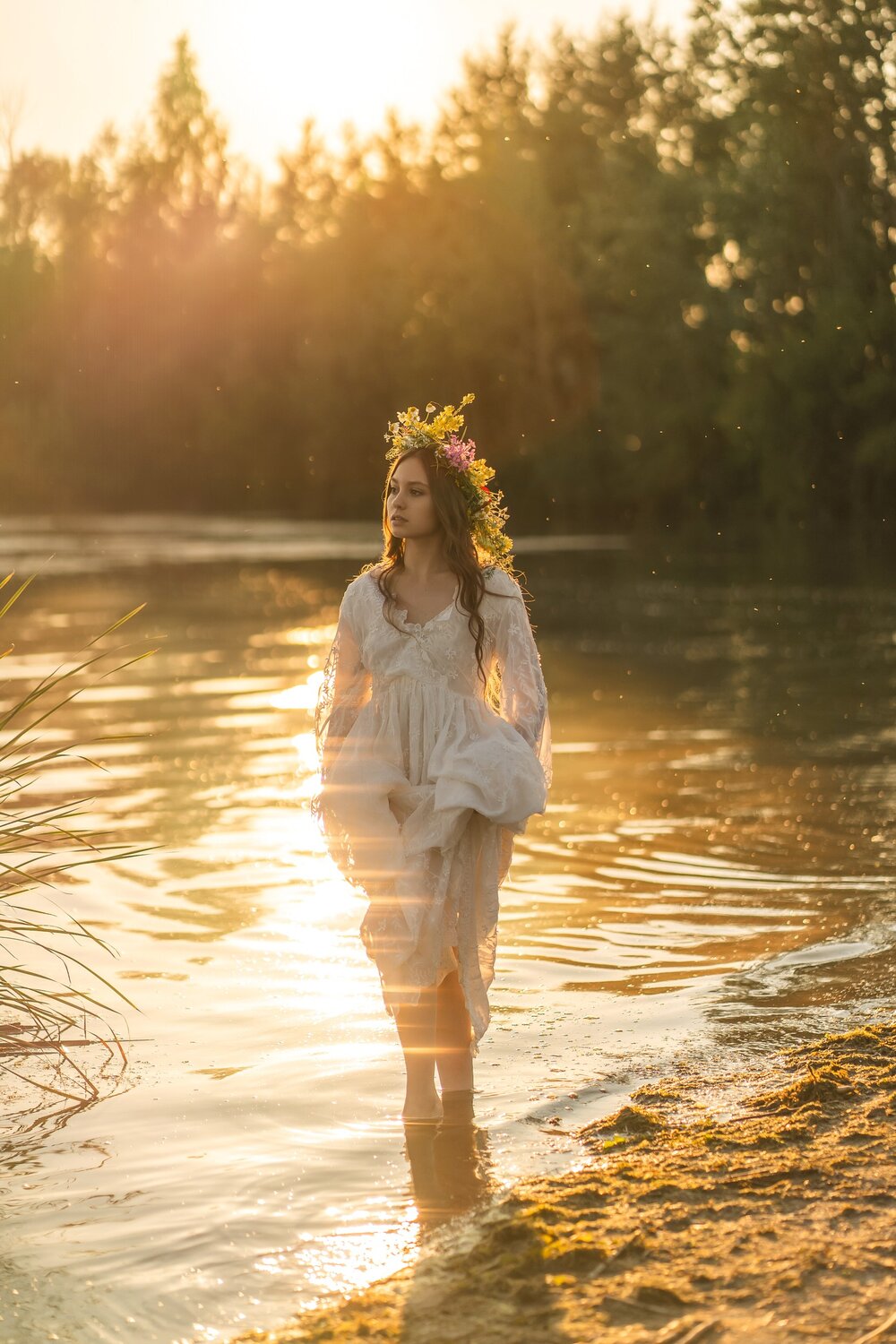 Photo #13800682