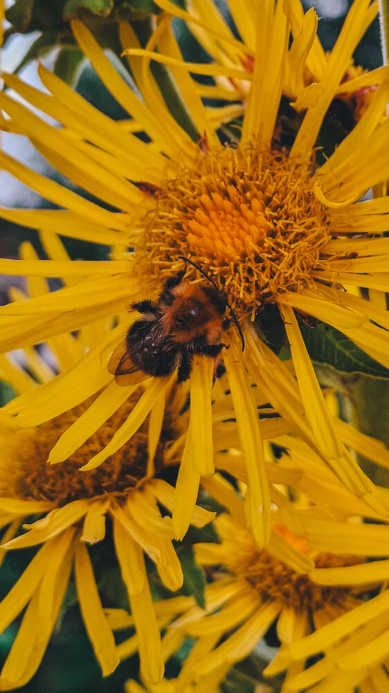 Photograph by Мария Таскаева