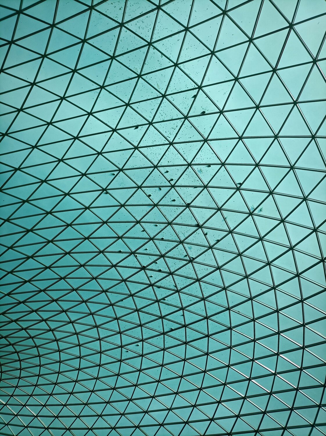 Photo #13800708