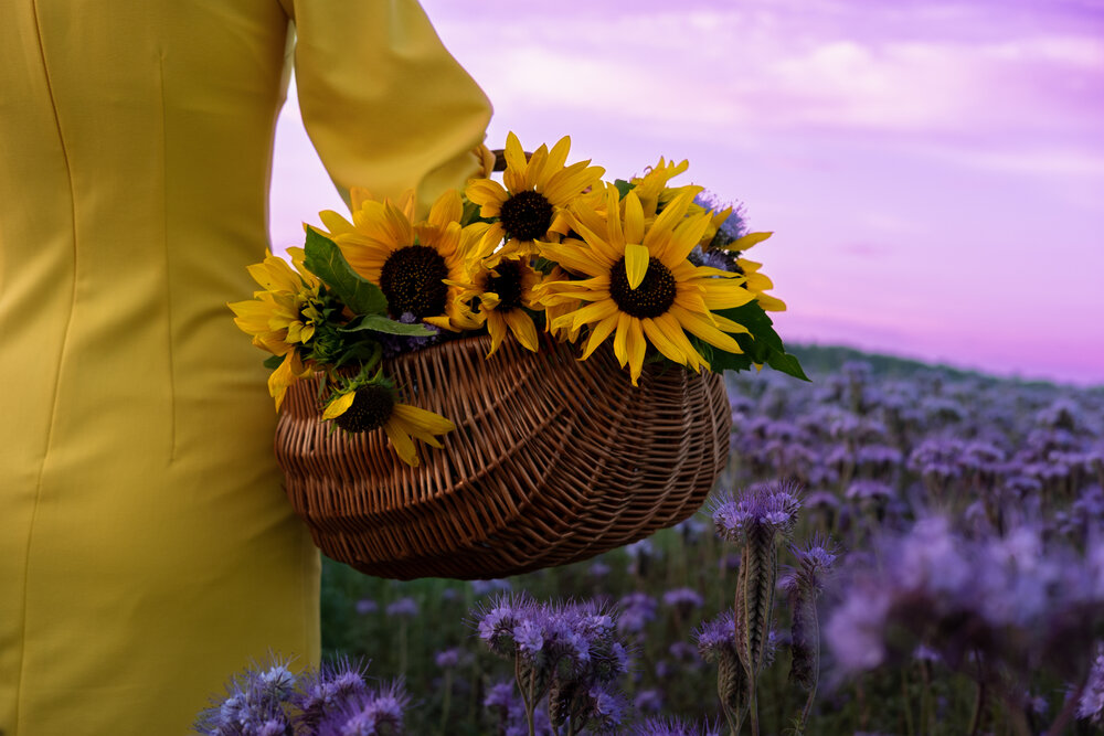 Photograph by Екатерина Карасева