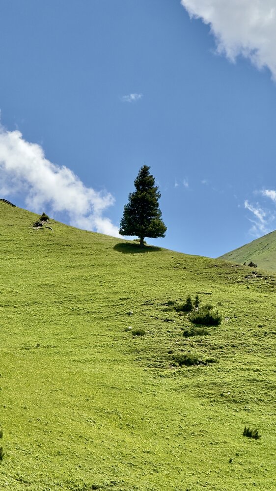 Photograph by Ольга Бибекина