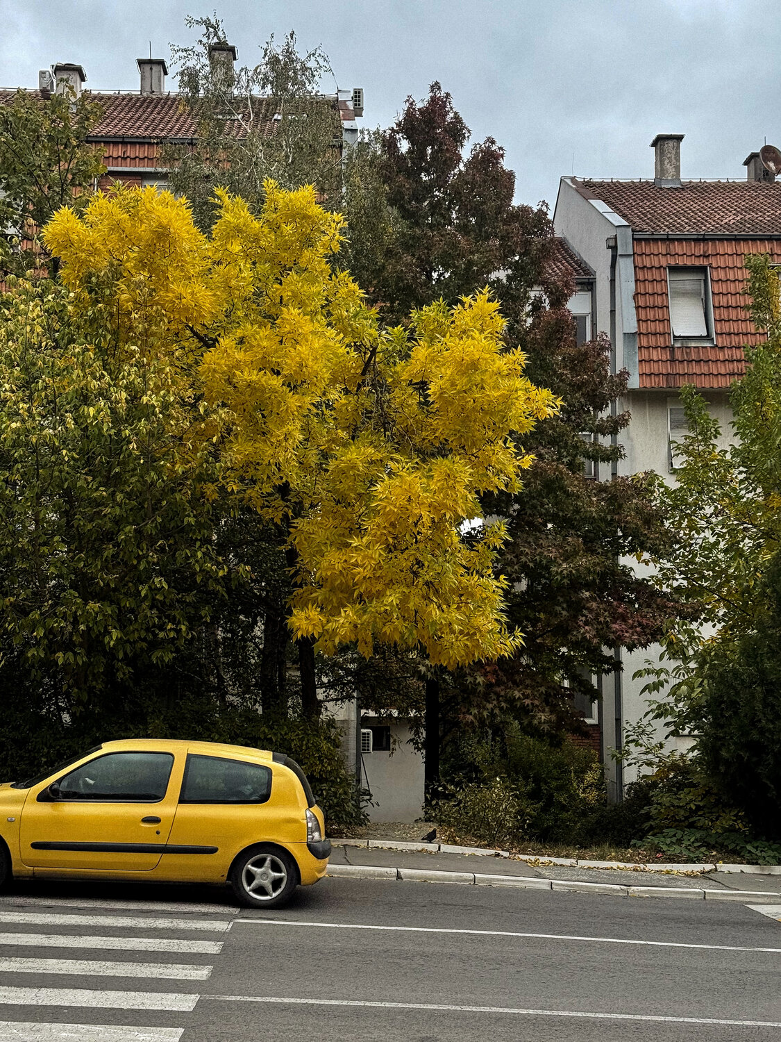 Photo #13800807