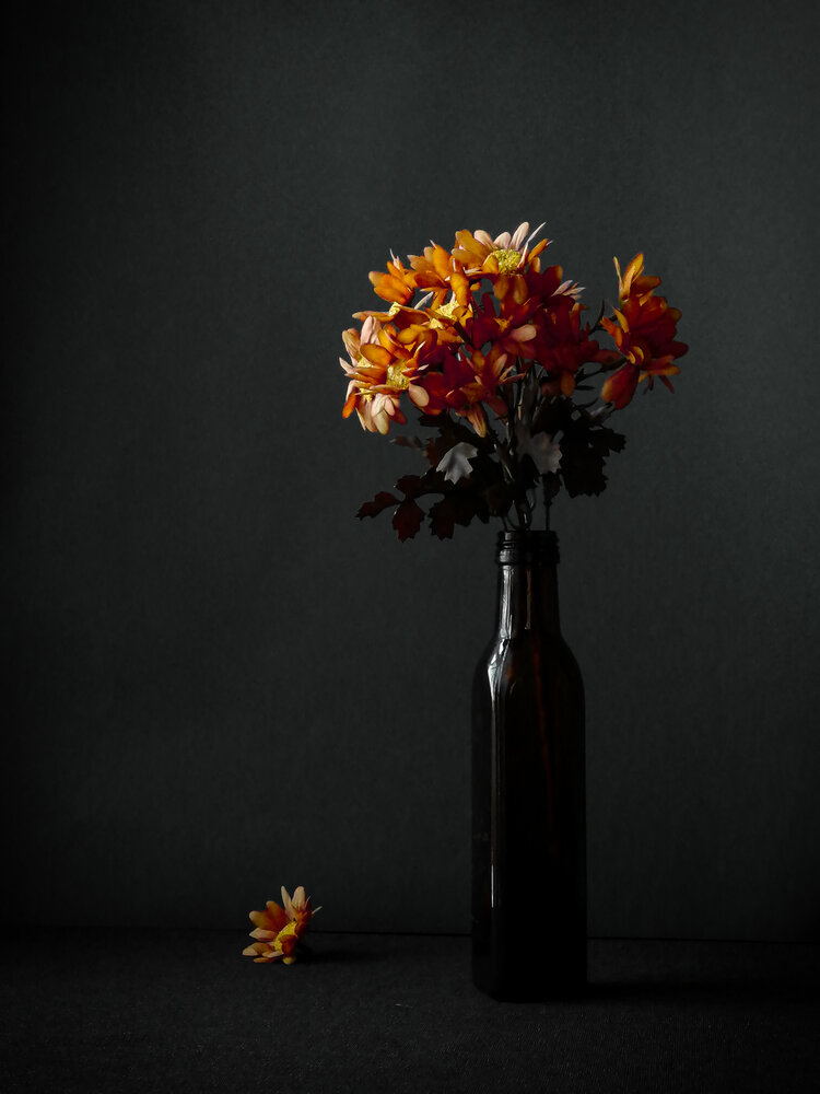 Photo #13800843