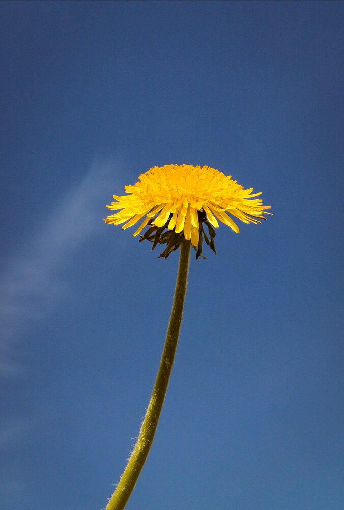 Photograph by Палкина Елена