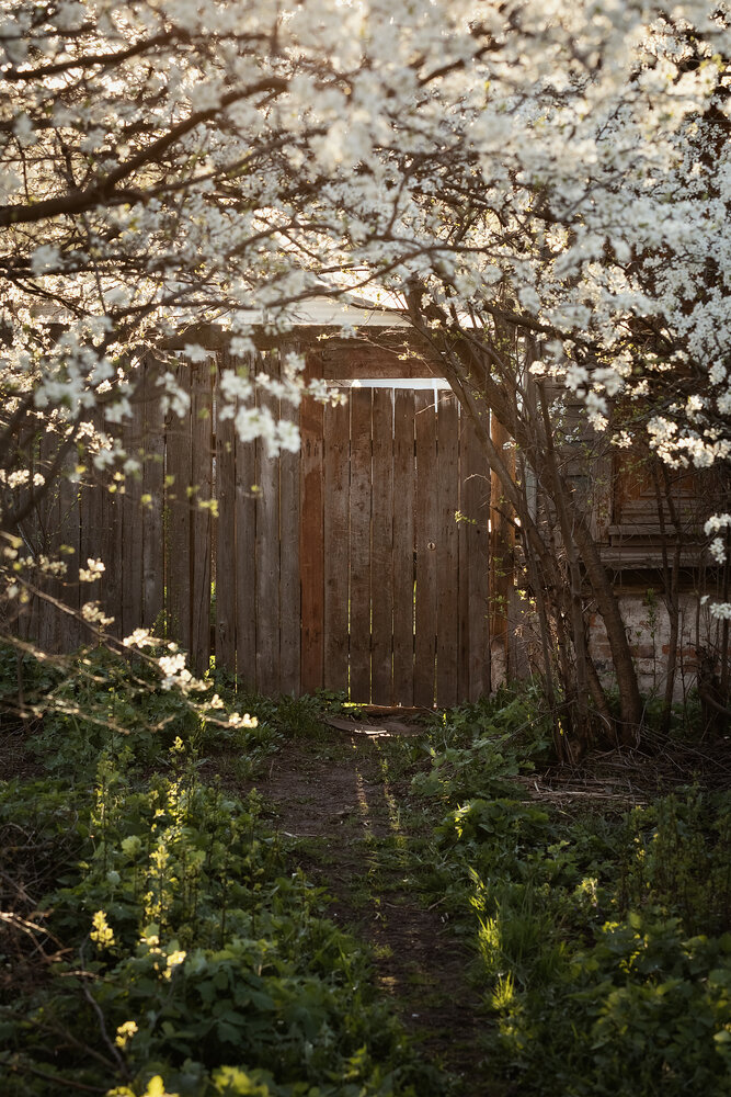 Photograph by Елена Косинова