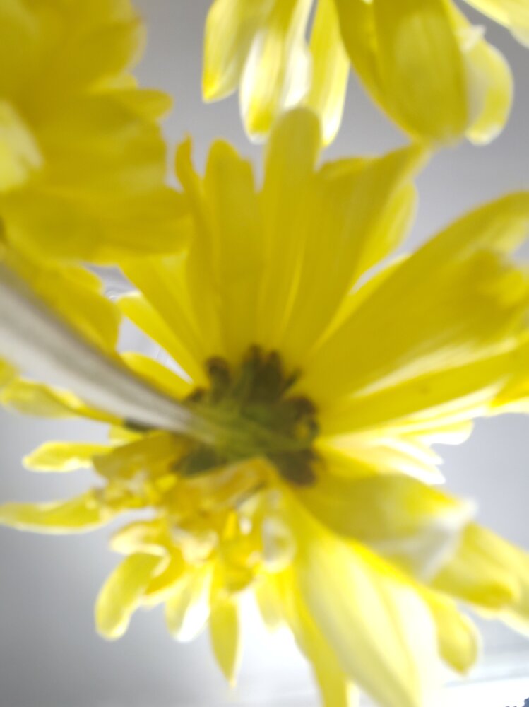 Photograph by Ольга Сошина
