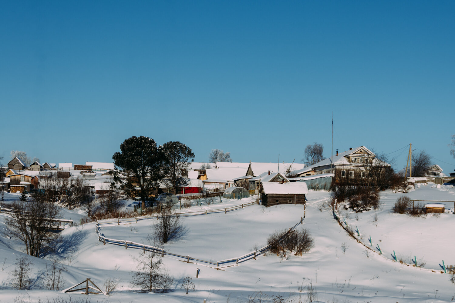 Photo #13800962