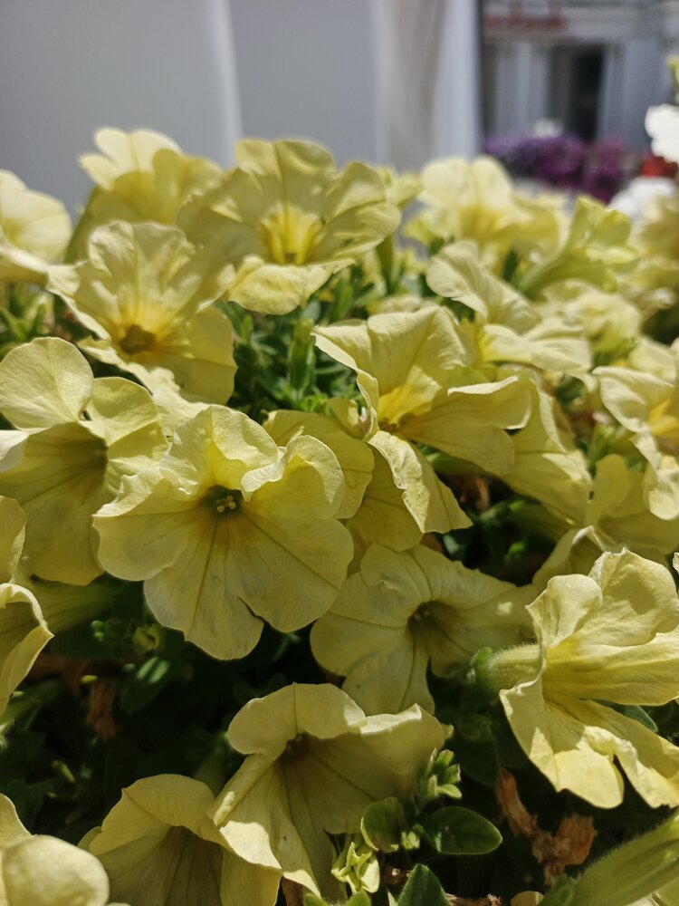 Photograph by Наталья Покрепина