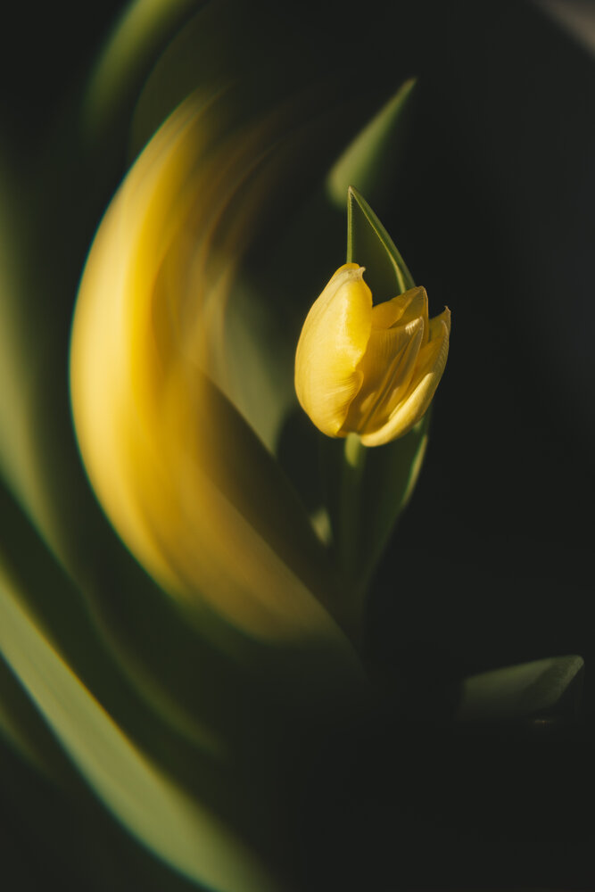 Photograph by Светлана Мухильченко