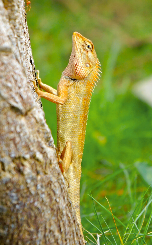 Photograph by Gurdina Lena