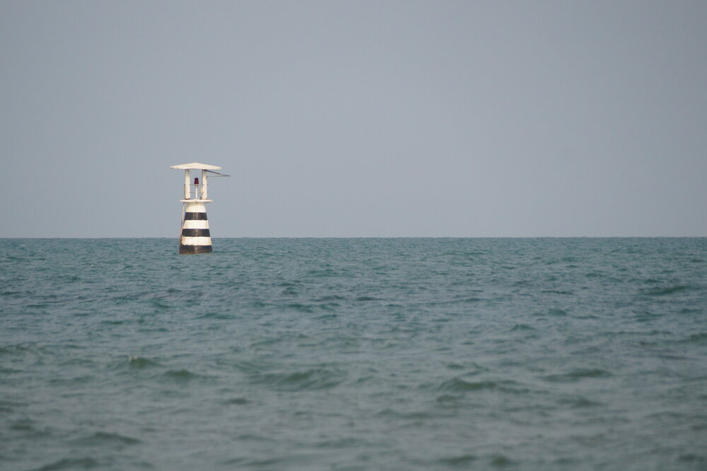 Photo #13801114
