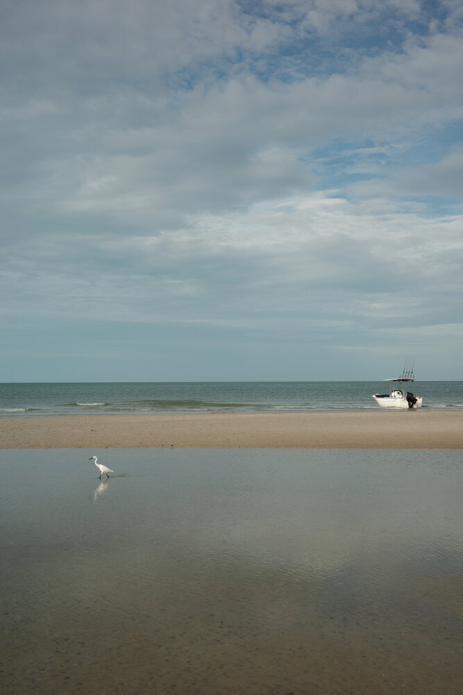 Photo #13801118