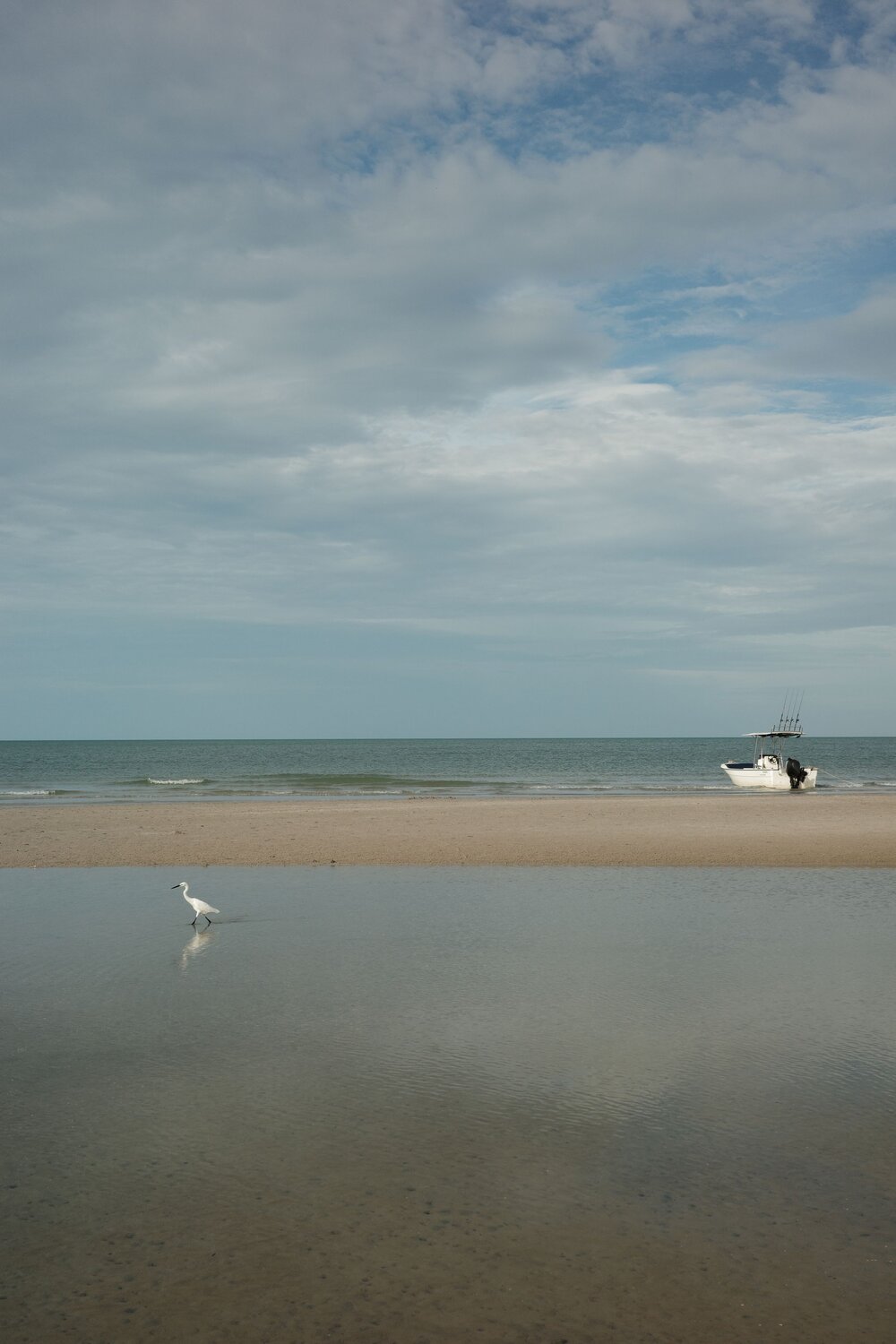 Photo #13801118