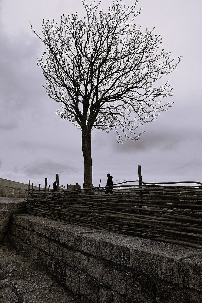 Photograph by Марина Красновид