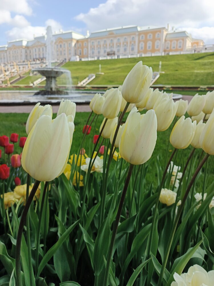 Photograph by Наталья Покрепина