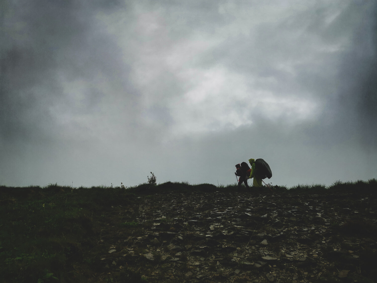 Photo #13801163