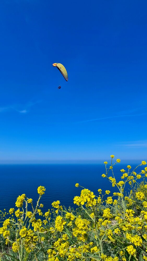 Photograph by Дарья Тимирева