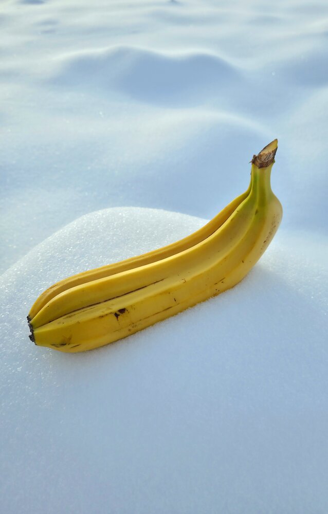 Photo #13801206