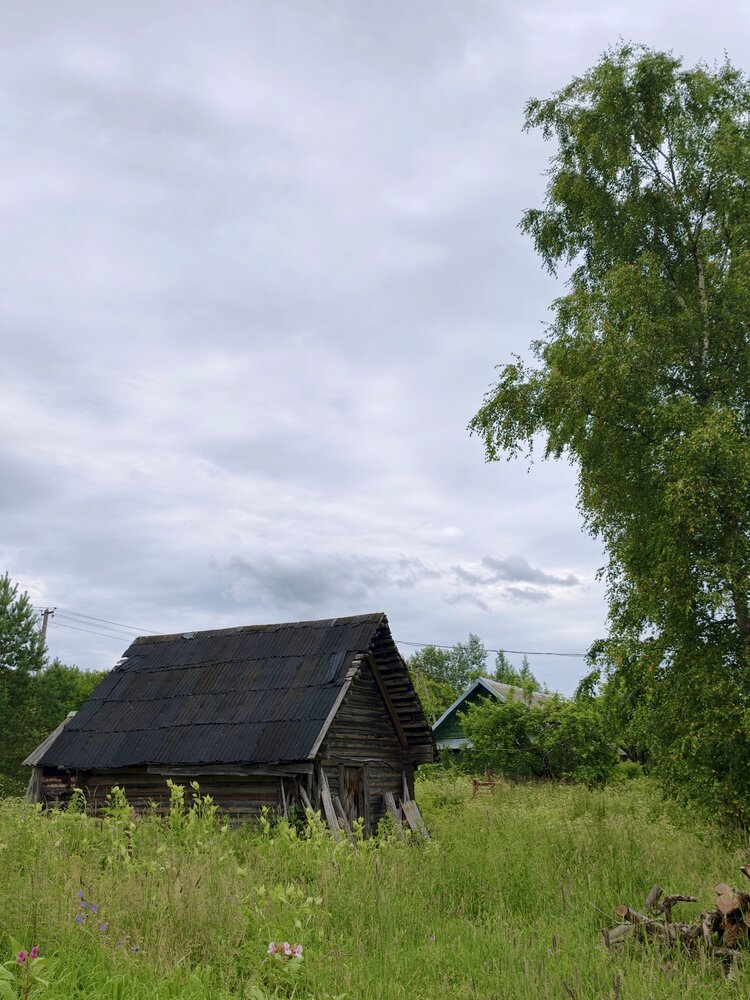 Photograph by Регина Левикина