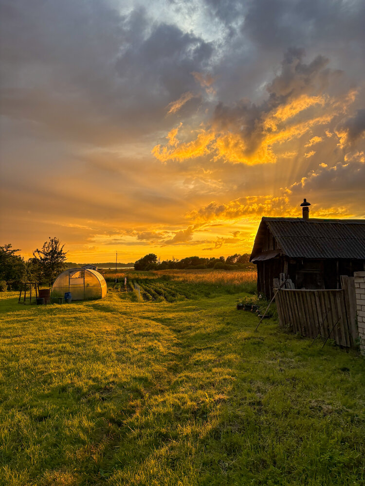 Фотография автора Светлана Беспалко