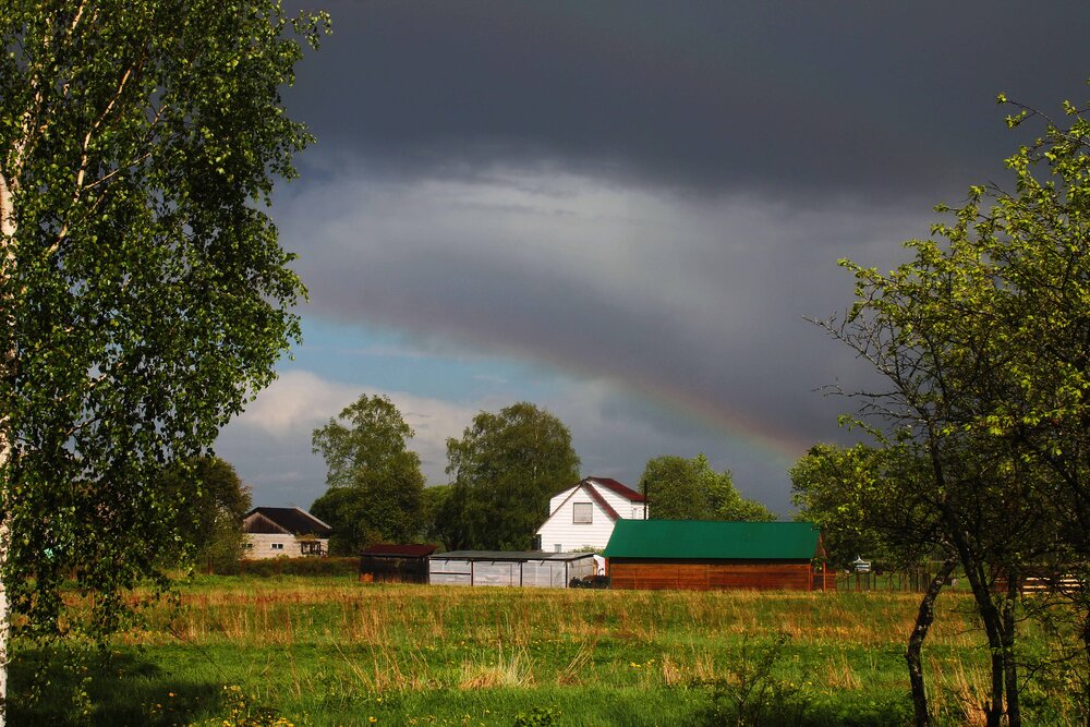 Photograph by Алла Бойко