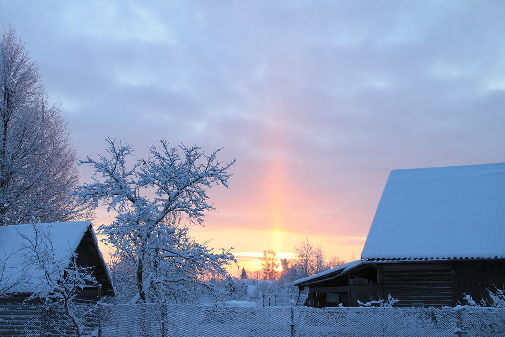 Photograph by Алла Бойко