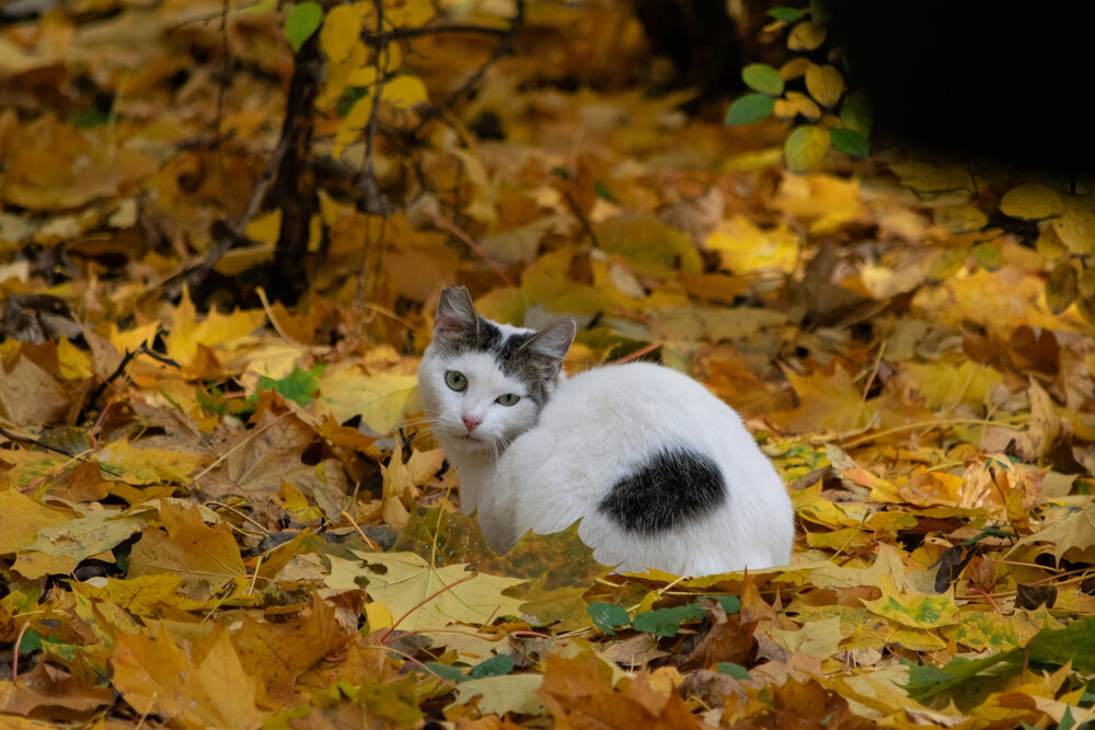 Photograph by Kseniya Platonova