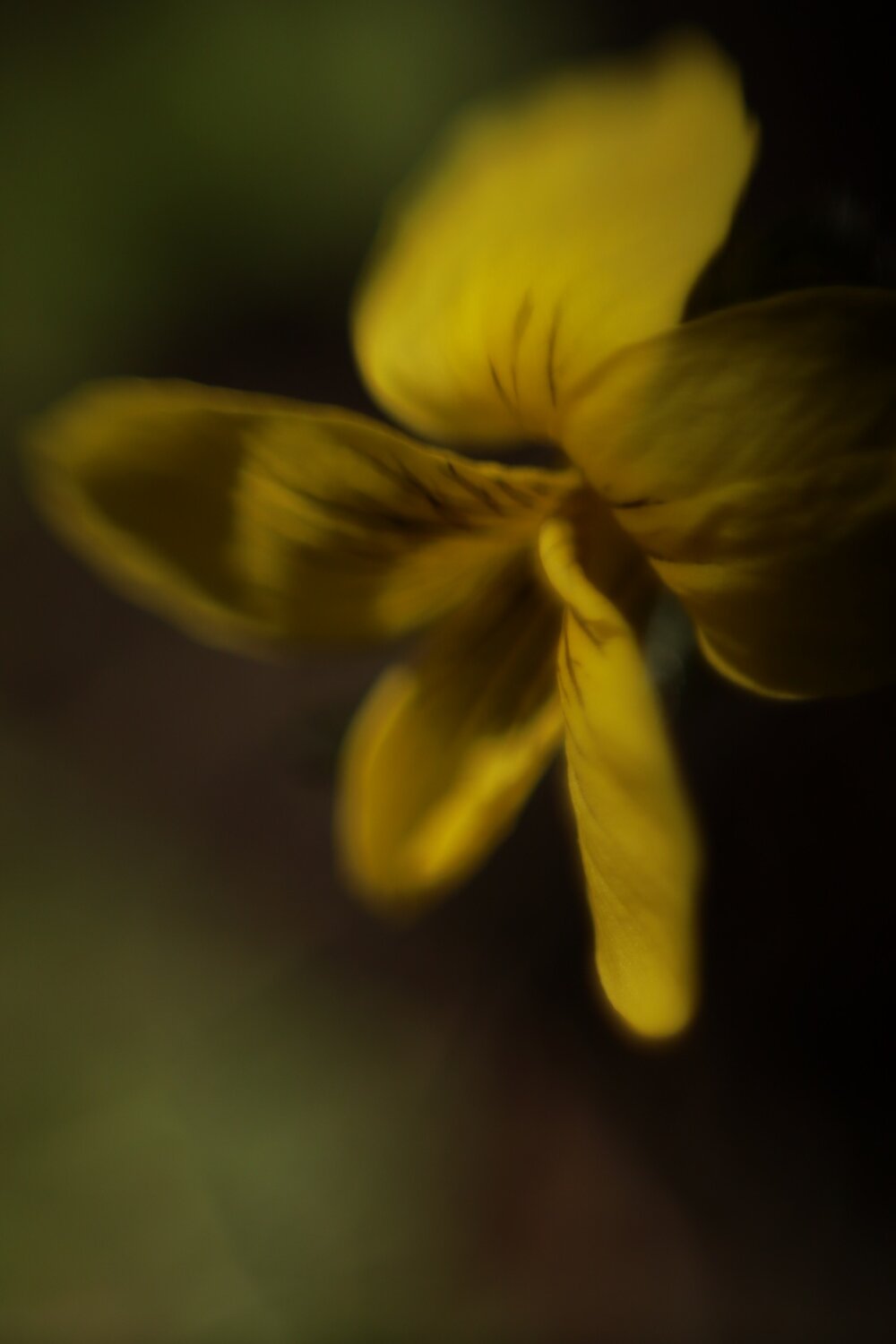 Photo #13801310