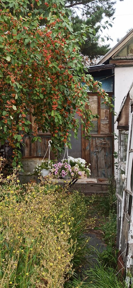 Фотография автора Луцук Мария