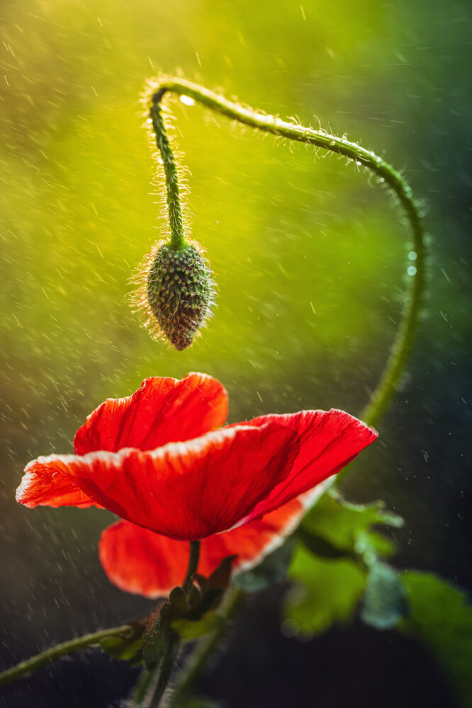 Photograph by Николай Захаров