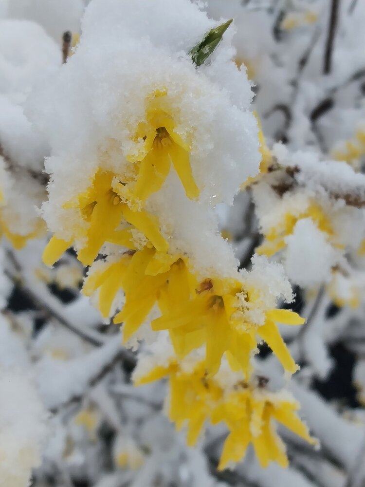 Photograph by Олеся Матвеева