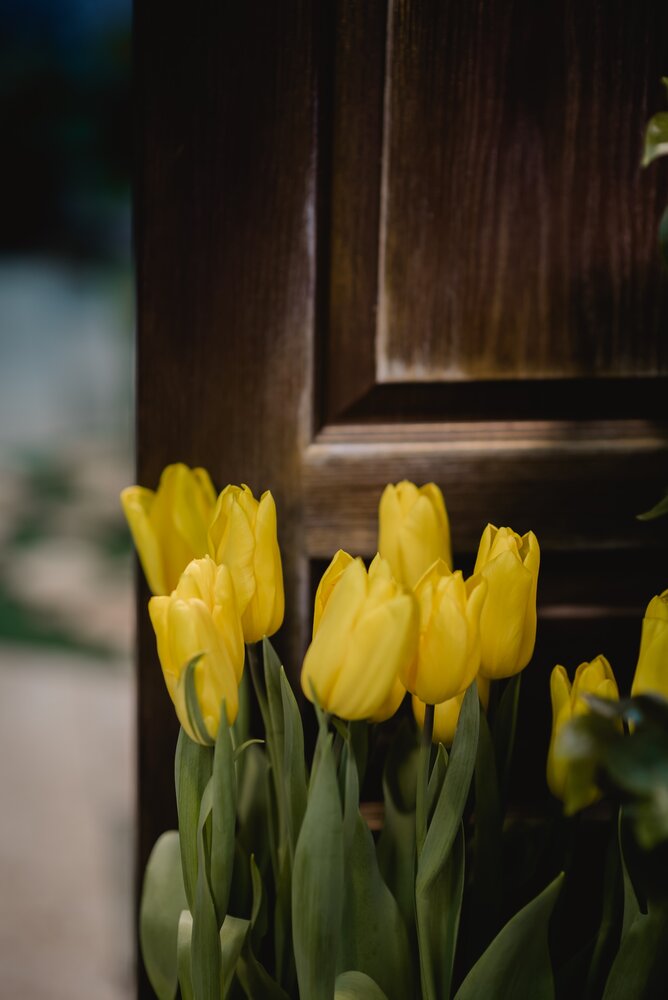 Photograph by Алена Алексеева