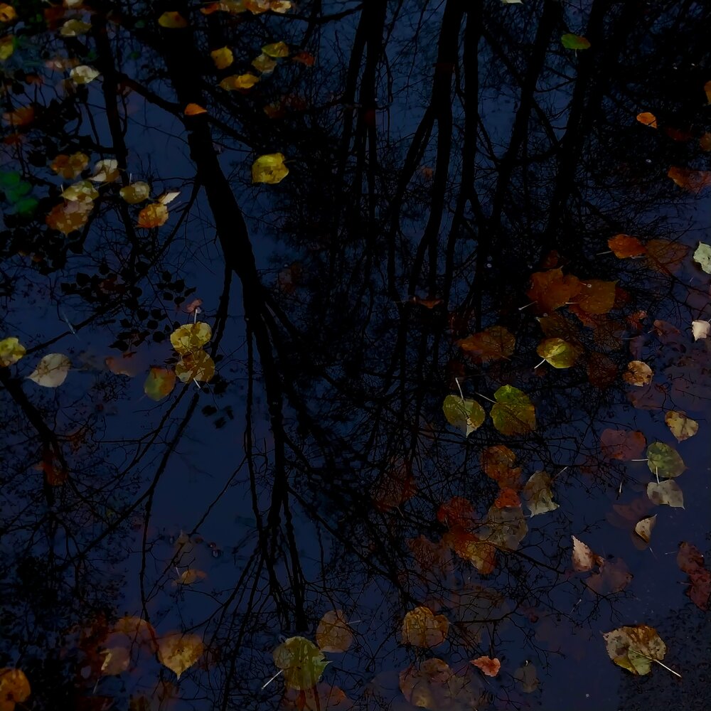 Photograph by Олеся Матвеева